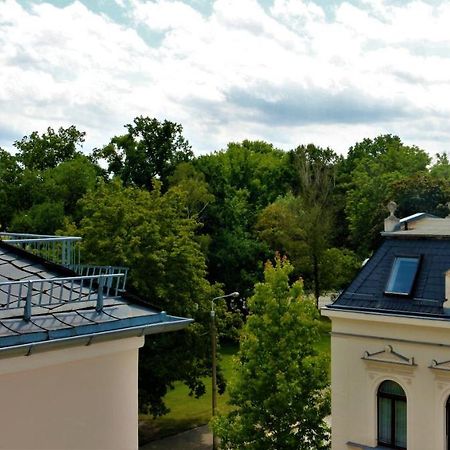Zentral Gelegene Wohnung Nahe Schwanenteich Цвікау Екстер'єр фото