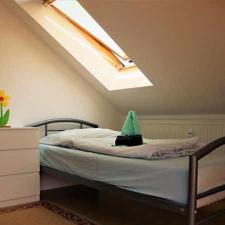 Zentral Gelegene Wohnung Nahe Schwanenteich Цвікау Екстер'єр фото