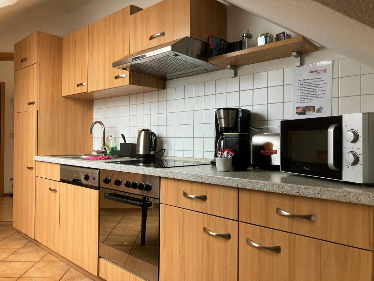 Zentral Gelegene Wohnung Nahe Schwanenteich Цвікау Екстер'єр фото