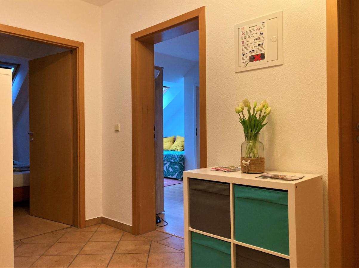 Zentral Gelegene Wohnung Nahe Schwanenteich Цвікау Екстер'єр фото