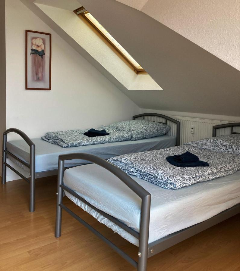 Zentral Gelegene Wohnung Nahe Schwanenteich Цвікау Екстер'єр фото
