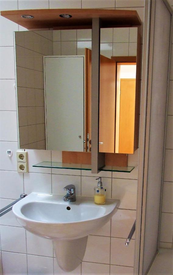 Zentral Gelegene Wohnung Nahe Schwanenteich Цвікау Екстер'єр фото