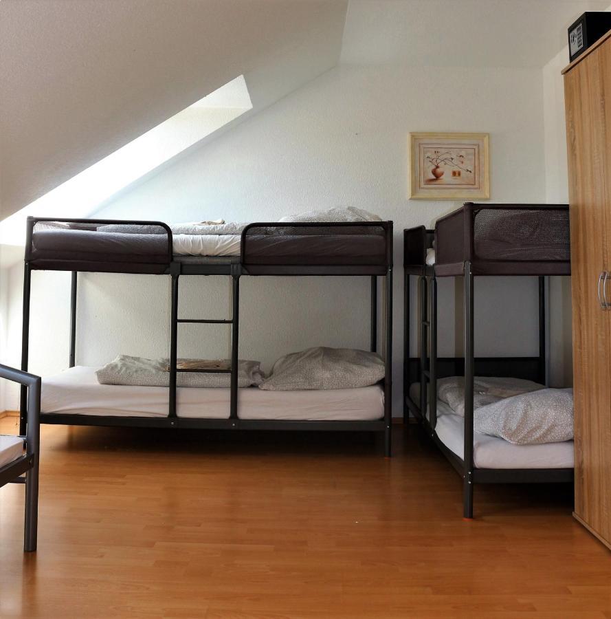 Zentral Gelegene Wohnung Nahe Schwanenteich Цвікау Екстер'єр фото