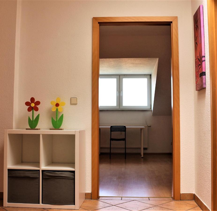 Zentral Gelegene Wohnung Nahe Schwanenteich Цвікау Екстер'єр фото